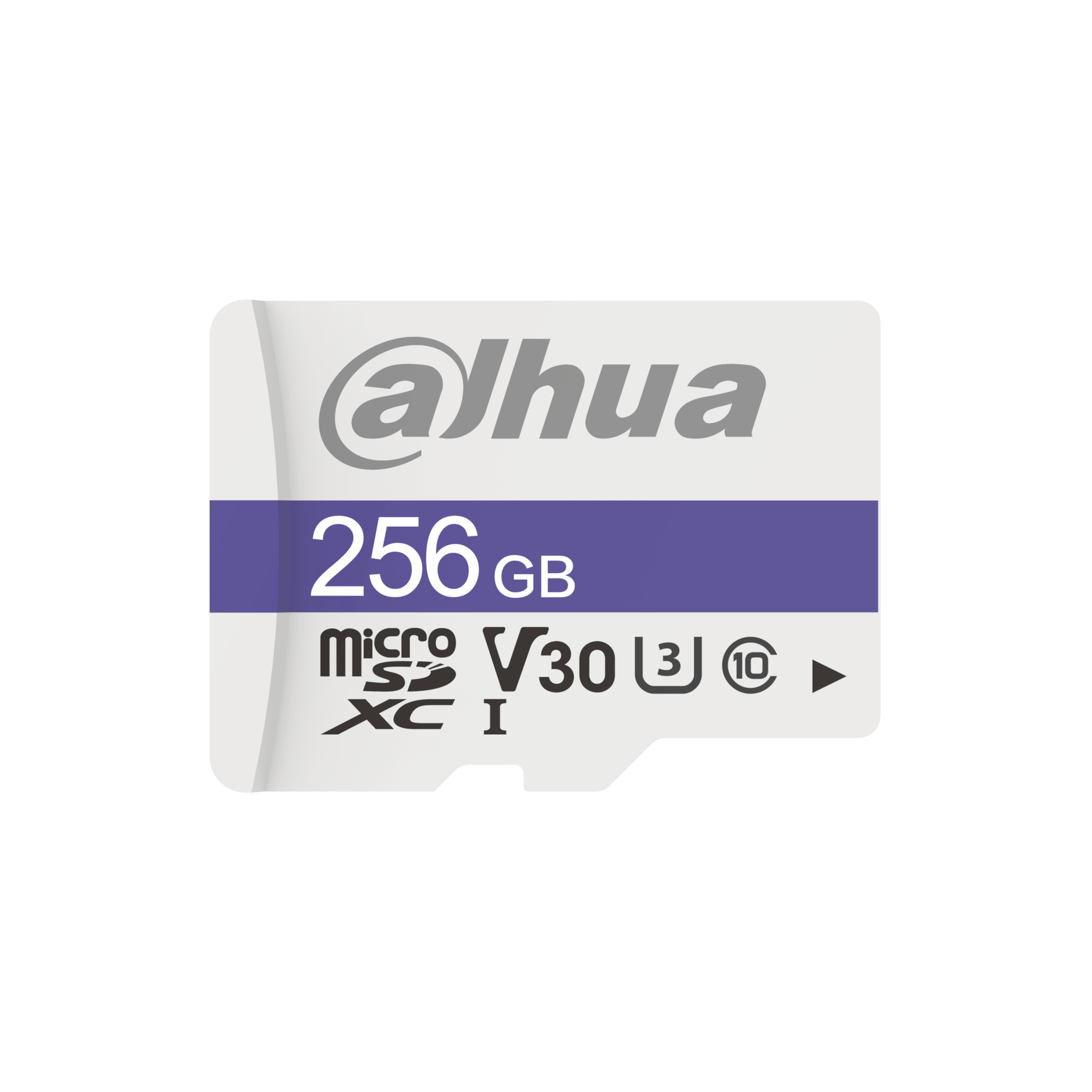 DHI-TF-C100/256GBO00F0 - ذاكرة 256GB